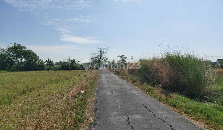 Tanah Kering Siap Bangun Di Ndaleman Baki Dekat Gentan Solo 2