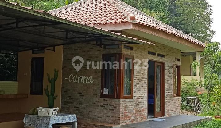 For Sale 5 Villas and Fruit Garden Villa at Jl. Raya Ciapus 92, Jl. Raya Ciapus, Sirnagalih, Tamansari, Bogor, West Java, Indonesia, 16610, Ciapus SHM 11000.0 m²