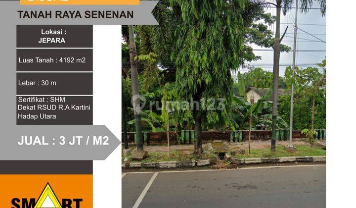 Di Jual tanah raya senenan Tahunan Jepara 1