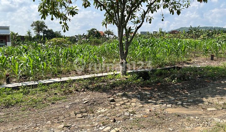 Jual Tanah Dinar Mas, Meteseh,Tembalang 2