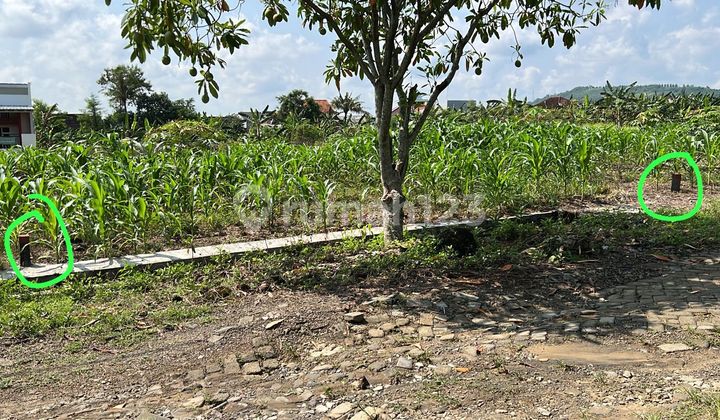 Jual Tanah Dinar Mas, Meteseh,Tembalang 1