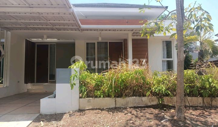 Sewa Rumah Semi Furnish Ivy Park , Citraland Bsb Semarang 1