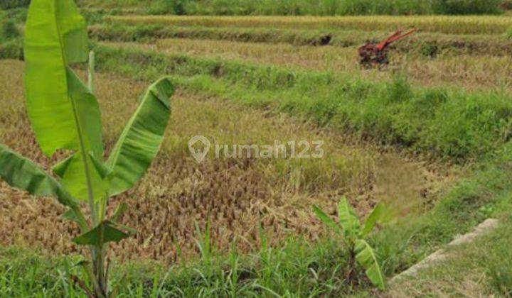 Jual Tanah Plesungan Gondangrejo Karanganyar Solo 2