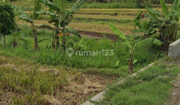 Jual Tanah Plesungan Gondangrejo Karanganyar Solo 1