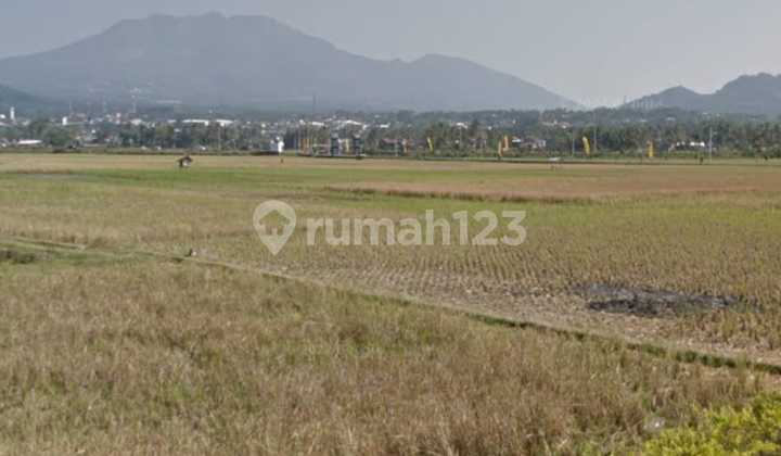 Jual Tanah Tambakboyo Ambarawa Jual Tanah Tambakboyo Ambarawa