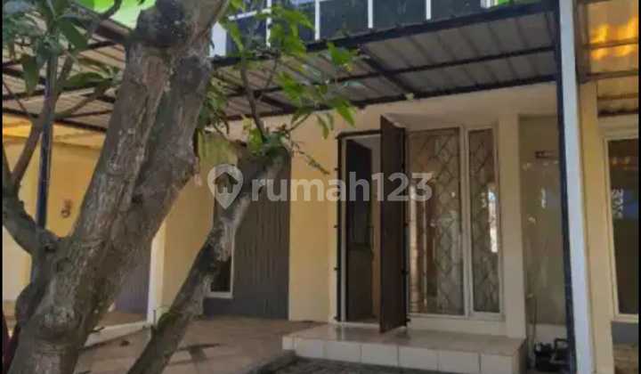 Sewa Rumah Royal Family, Marina 1