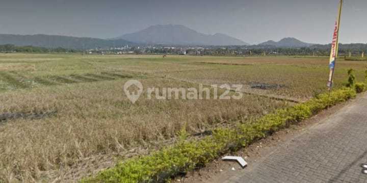 Jual Tanah Tambakboyo Ambarawa 