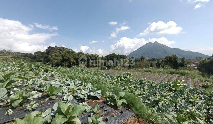 Jual Tanah Kopeng Salatiga Ada View Cocok Untuk Cafe 1