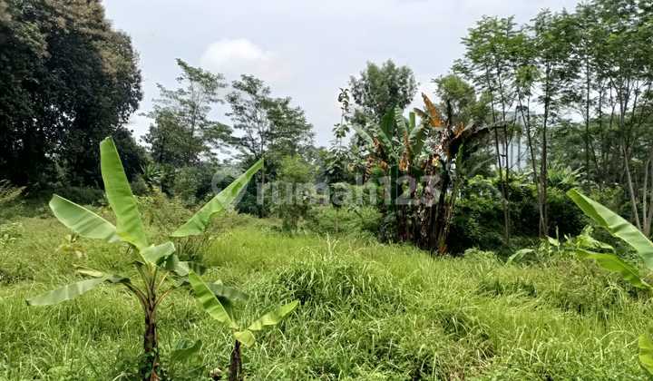 For Sale Industrial Zone Land Pantura Road Gringsing Batang For Sale Industrial Zone Land Pantura Road Gringsing Batang
