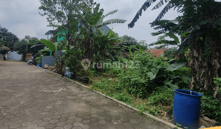 Tanah Bagus di Klentengsari belakang Al Azhar dekat undip 1