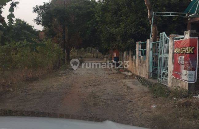 Tanah Dekat Undip di Bulusan Selatan Tembalang, Semarang 2