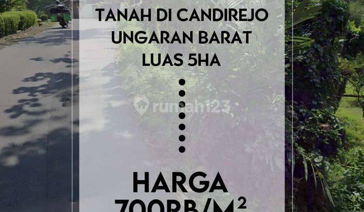 Tanah 5 Ha di Candirejo Ungaran Barat 1