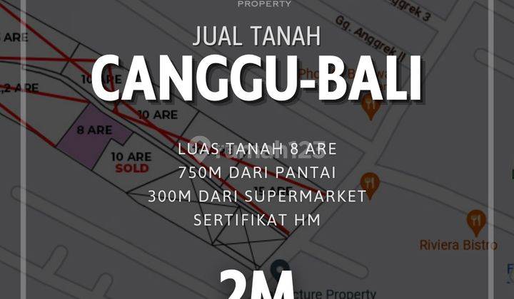 Tanah Kavling Premium Canggu Bali, Badung 1