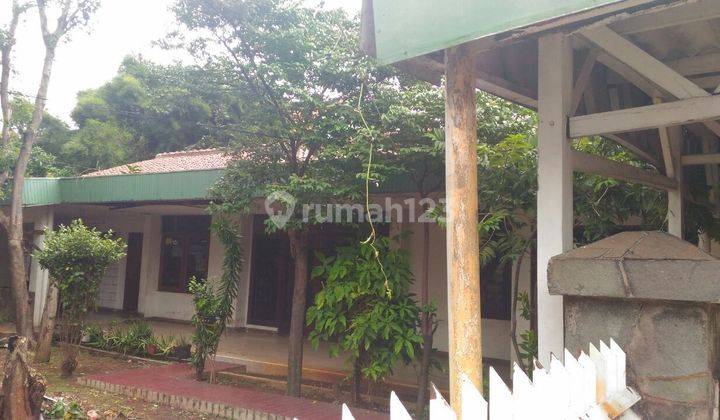 Rumah Tua Harga NJOP di Jl S. Parman, Jakarta Barat  2