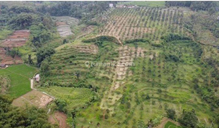 Tanah Perkebunan Luas 12 hectare di Parung Kuda Sukabumi  1