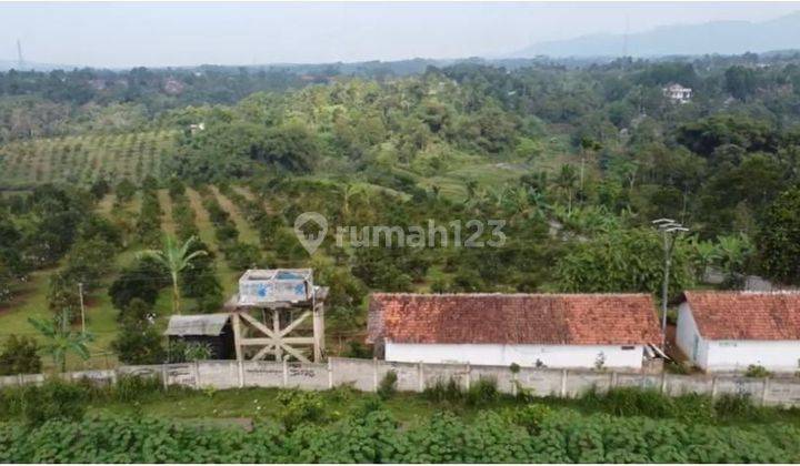 Tanah Perkebunan Luas 12 hectare di Parung Kuda Sukabumi  2