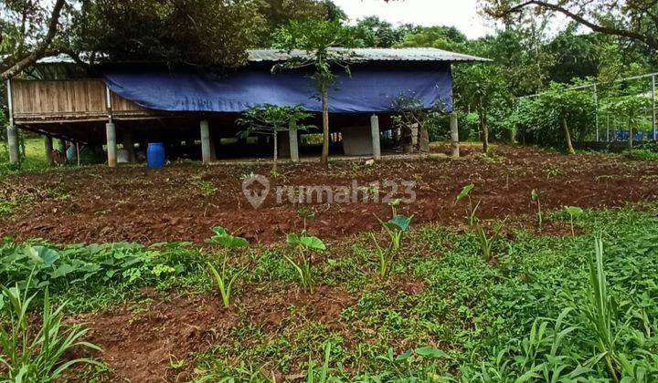 Lahan Perkebunan Luas 9468 SHM di Desa Selawangi, Tanjungsari, Bogor  1