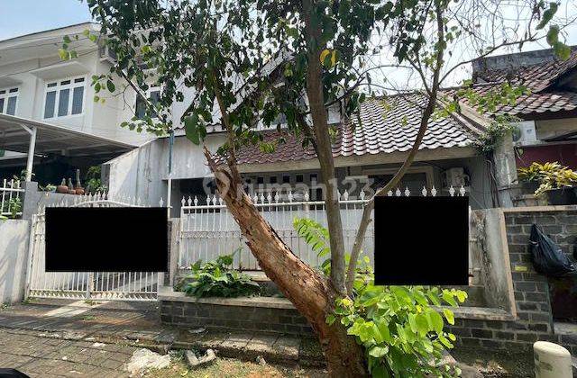 Rumah Disewakan Di Anggrek Bulan 1 Anggrek Loka Sektor 2,1 Bsd Serpong Tangsel 1