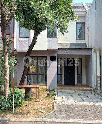 Rumah Disewakan Di Cluster Caspia The Icon Bsd City 1