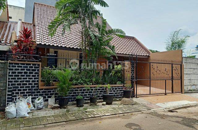 Rumah Dijual Disewakan Cepat Di Anggrek Loka Bsd Serpong Tangsel 1