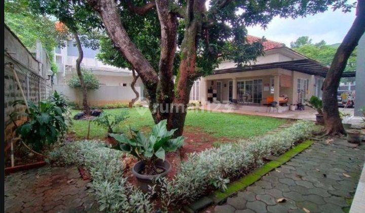 Rumah Asri Di Jalan Martimbang Kebayoran Baru 1