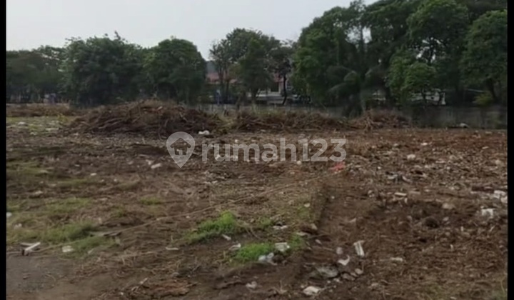 Kelapa Gading @ Gading Kirana 2