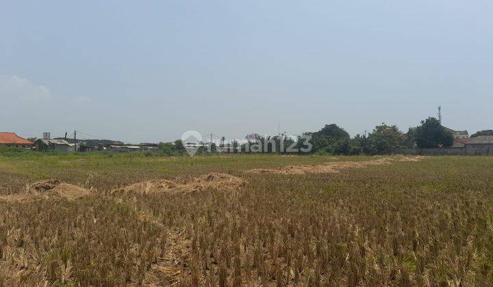 Tanah Sawah Di Pasilian,Kronjo-Lokasi 50 Meter Dari Jl.Raya Kronjo Dekat Kantor Pos & Samsat Kronjo 1