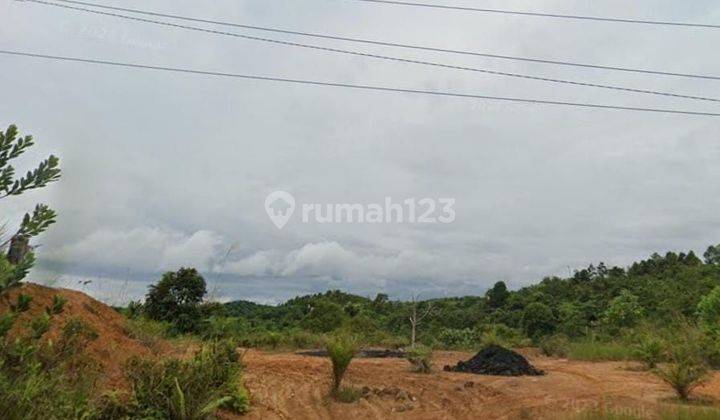 Tanah Harga Dibawah Njop Di Sepaku,Penajam Paser Utara,Kalimantan Timur 1