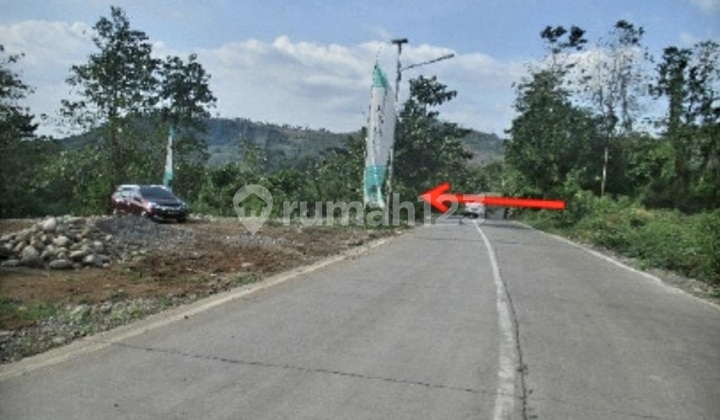 Land in Pattalasang, Pallantikang Village, Gowa, South Sulawesi. Land in Pattalasang, Pallantikang Village, Gowa, South Sulawesi.