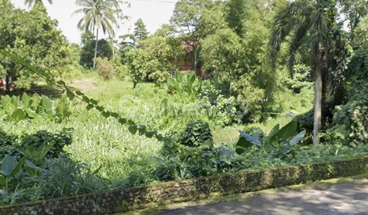 Tanah Di Desa Suwaan Kalawat Minahasa Utara