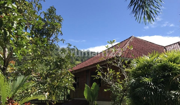 Bonus Land Villa in Balai Gadang Koto Tangah Padang with Mountain & River Views