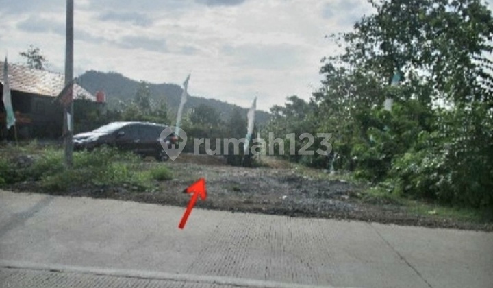 Land in Pattalasang, Pallantikang Village, Gowa, South Sulawesi. Land in Pattalasang, Pallantikang Village, Gowa, South Sulawesi.