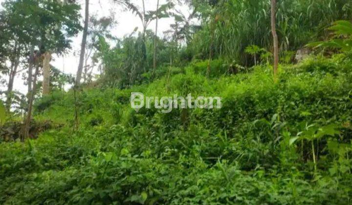 KAVLING TERASIRING DI BAWAH AIR TERJUN DLUNDUNG  1