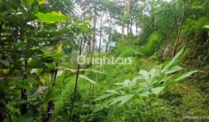 KAVLING TERASIRING DI BAWAH AIR TERJUN DLUNDUNG  2