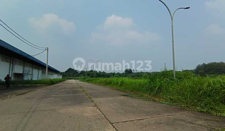 Disewakan lahan padat di Raya Narogong, Bantar Gebang, Bekasi Disewakan lahan padat di Raya Narogong, Bantar Gebang, Bekasi