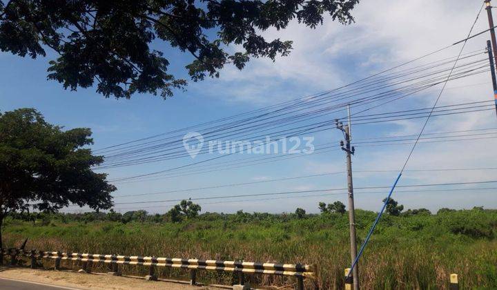 Dijual Tanah Strategis Raya Pantura Tuban Daerah Industri Tanah di Jl. Raya Tuban, Tunggul, Kec. Paciran, Kabupaten Lamongan, Jawa Timur, Tuban HGB 92197.0 m² 1