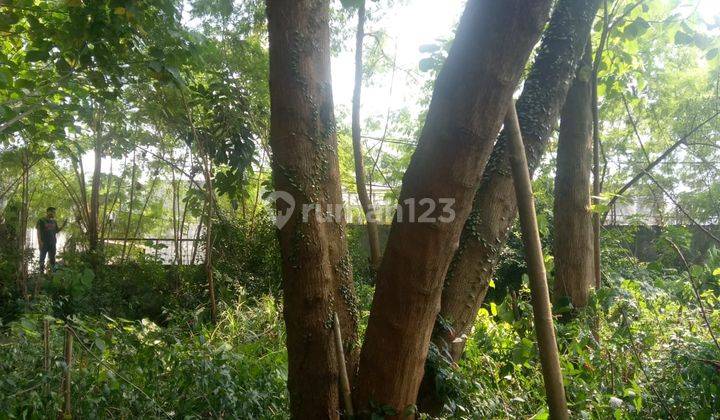 Disewakan Super Murah Tanah Luas Di Kav Dpr Bojongsari 4