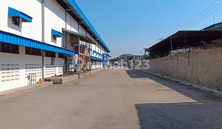 Warehouse for Rent Ready to Use in Tambak Sawah Waru Sidoarjo Area