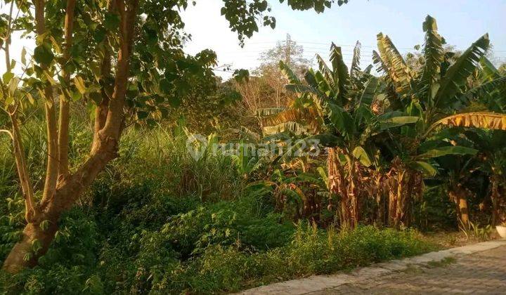 Tanah Siap Bangun di Candi Kalasan Manyaran Semarang 1