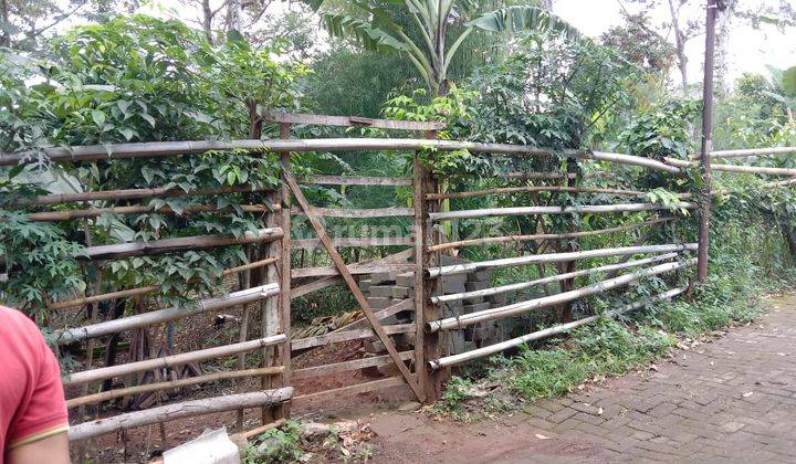 Tanah Kosong Zona Kuning 100 Meter Dari Jalan Grafika Raya Banyumanik Semarang 1