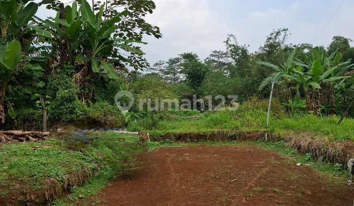 Kapling SHM Murah siap bangun di Kaligading Boja Kabupaten Kendal