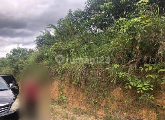 Dijual Tanah Kering Pinggir Jalan di Kab Sintang Kalimantan Barat 1