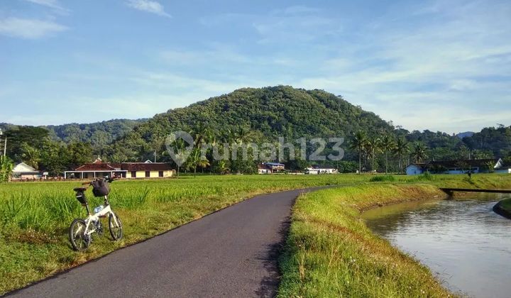 Tanah 80 Jt An Jl.pengasih Nanggulan Bayar Tempo 3