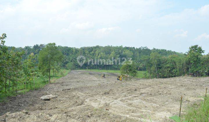 Tanah 80 Jt An Jl.pengasih Nanggulan Bayar Tempo 4