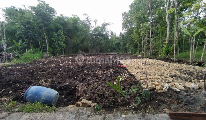 Dekat Exit Tol Banguncipto, Kavling Kulonprogo Hanya 1 Jt An  1