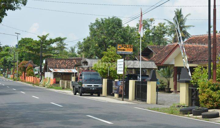 Tanah Perumahan Murah Jogja, Kawasan Wisata Kopi Ampirono 5