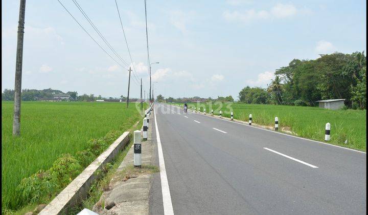 Tanah Perumahan Murah Jogja, Kawasan Wisata Kopi Ampirono 6