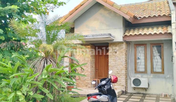 Rumah Singosari Lippo Karawaci Utara Bagus