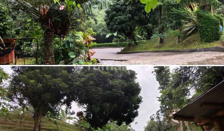 Sell Villa Cheap Price in Pancawati Caringin Bogor