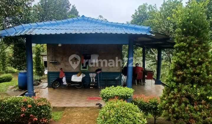 Selling Plantation Land in Kelapa Nunggal Sukabumi